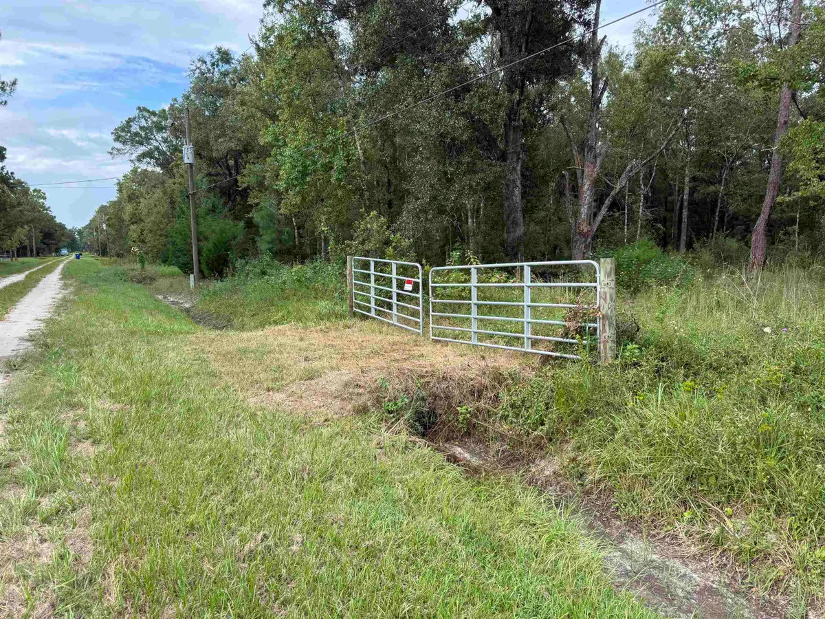 10340 Stycket Ave, Hastings, FL 32145 - #1