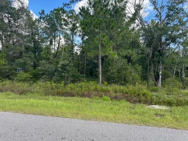 4710 Cedar Ford Blvd, Hastings, FL 32145 - #1