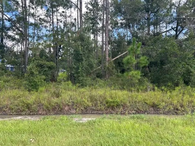 4710 Cedar Ford Blvd, Hastings, FL 32145 - #3