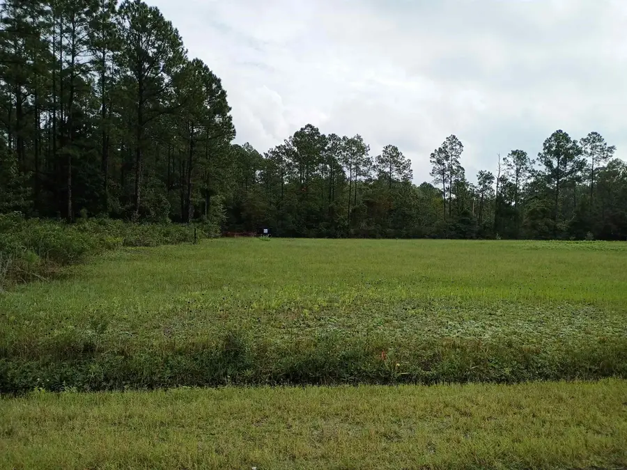 4260 Kristen St, Hastings, FL 32145 - #2