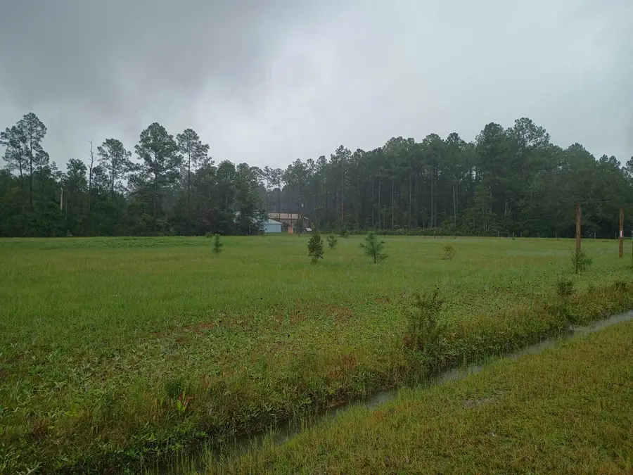 4260 Kristen St, Hastings, FL 32145 - #3