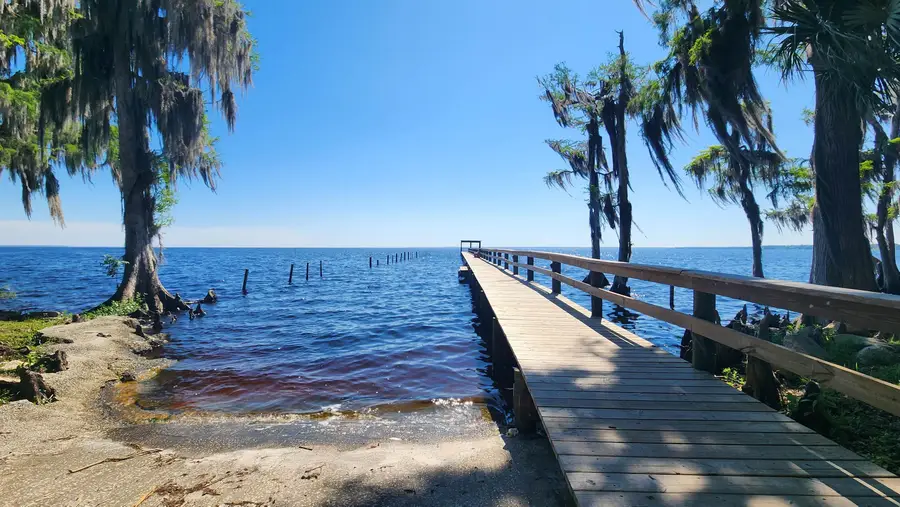 422 Dogwood Ave, Georgetown, FL 32139 - #2