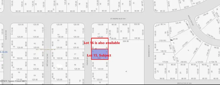 3113 Papaya Avenue Sw, Palm Bay, FL 32908 - Image #2