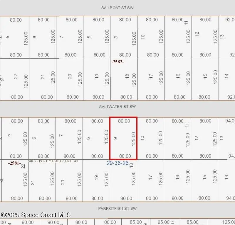 834 Saltwater Street Sw, Palm Bay, FL 32908 - #2