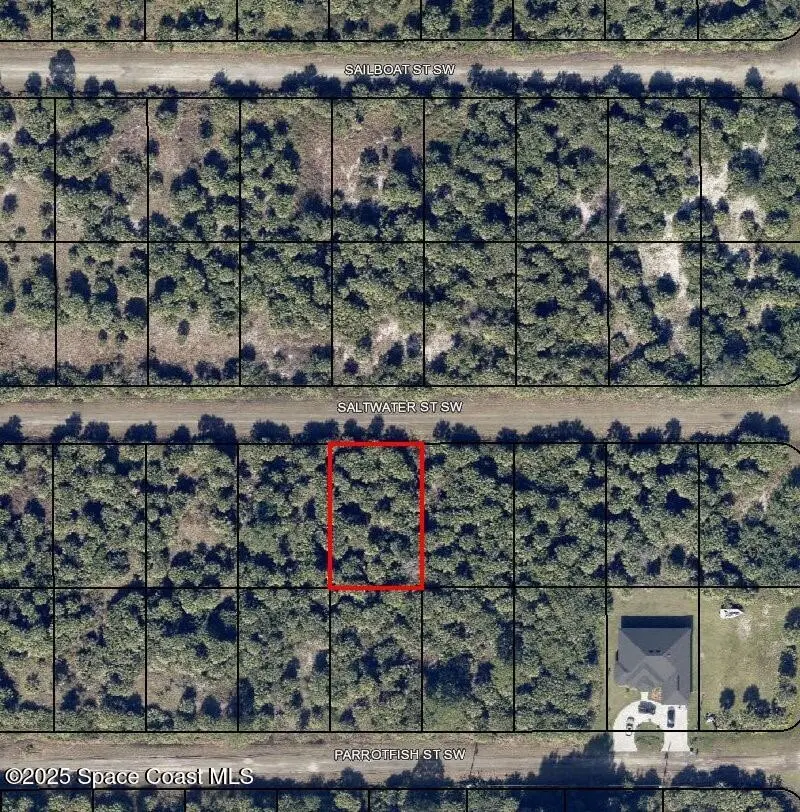 842 Saltwater Street Sw, Palm Bay, FL 32908 - #1