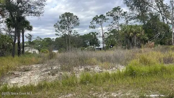 491 La Coco Street Sw, Palm Bay, FL 32908