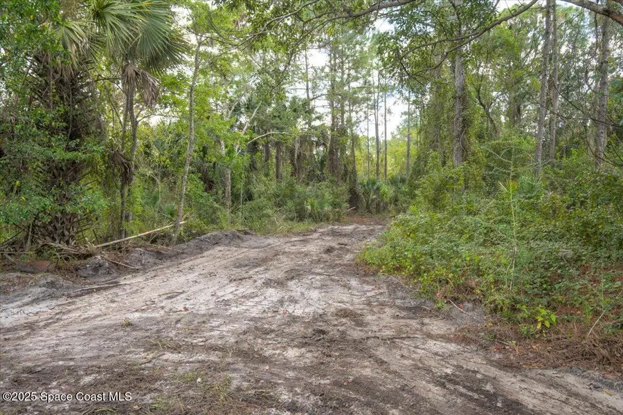 0000 Blounts Ridge Road, Mims, FL 32754 - Image #2