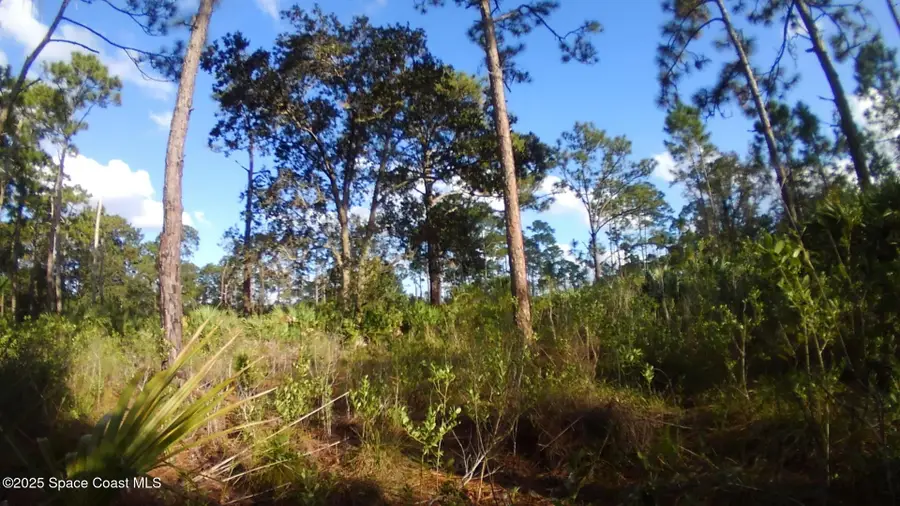 0 Magnolia Road, Malabar, FL 32950 - Image #2