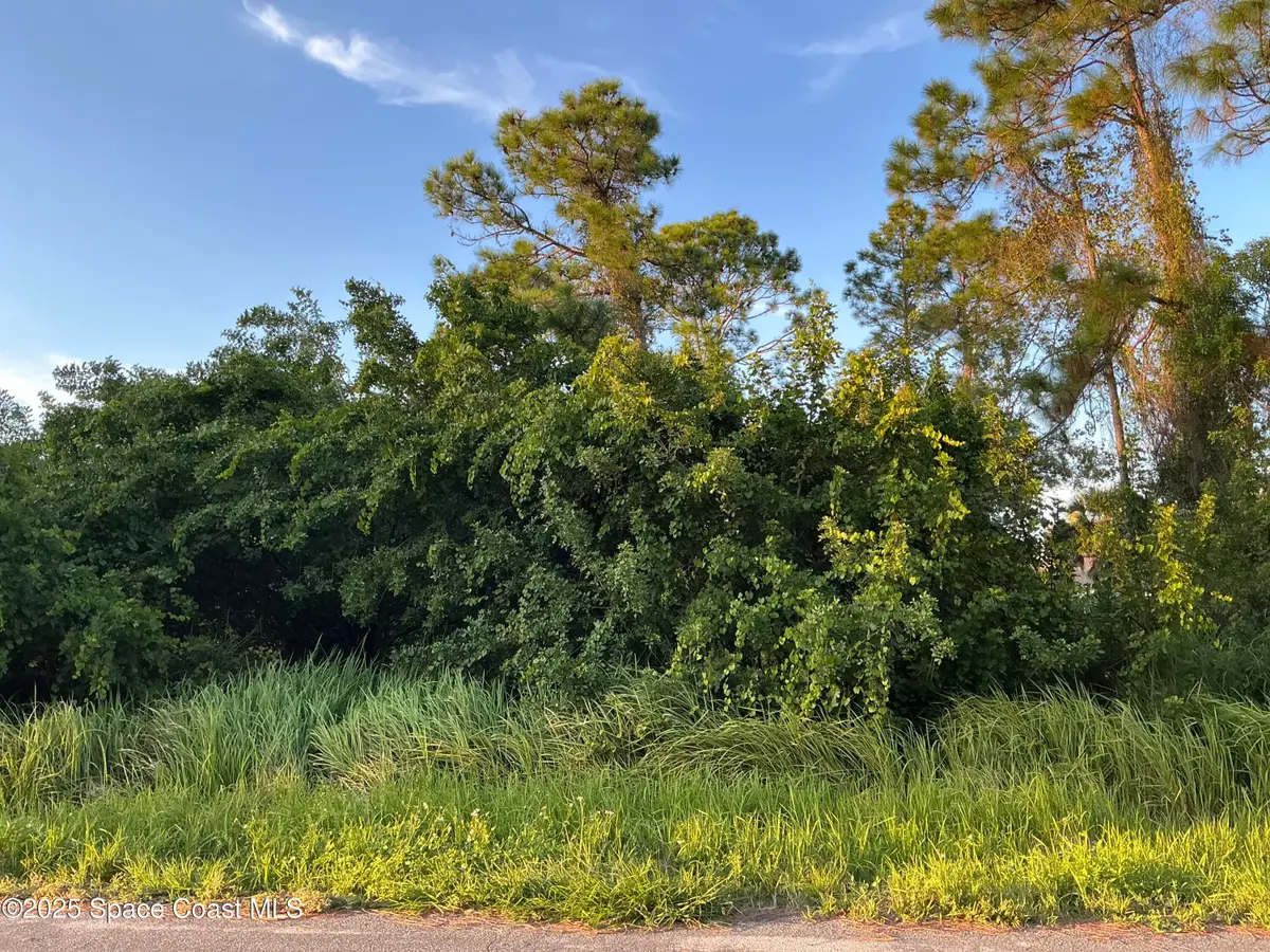 1325 Defender Street Nw, Palm Bay, FL 32907 - Image #1