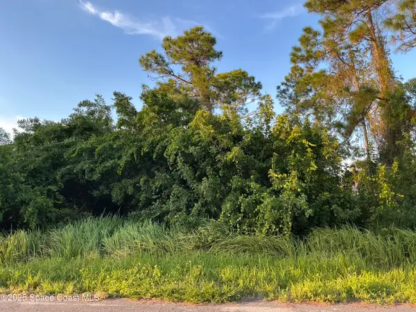 1325 Defender Street Nw, Palm Bay, FL 32907