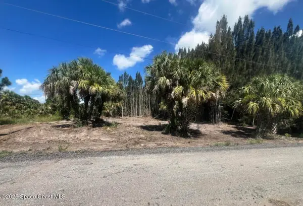 2328 Abaco Avenue Sw, Palm Bay, FL 32908