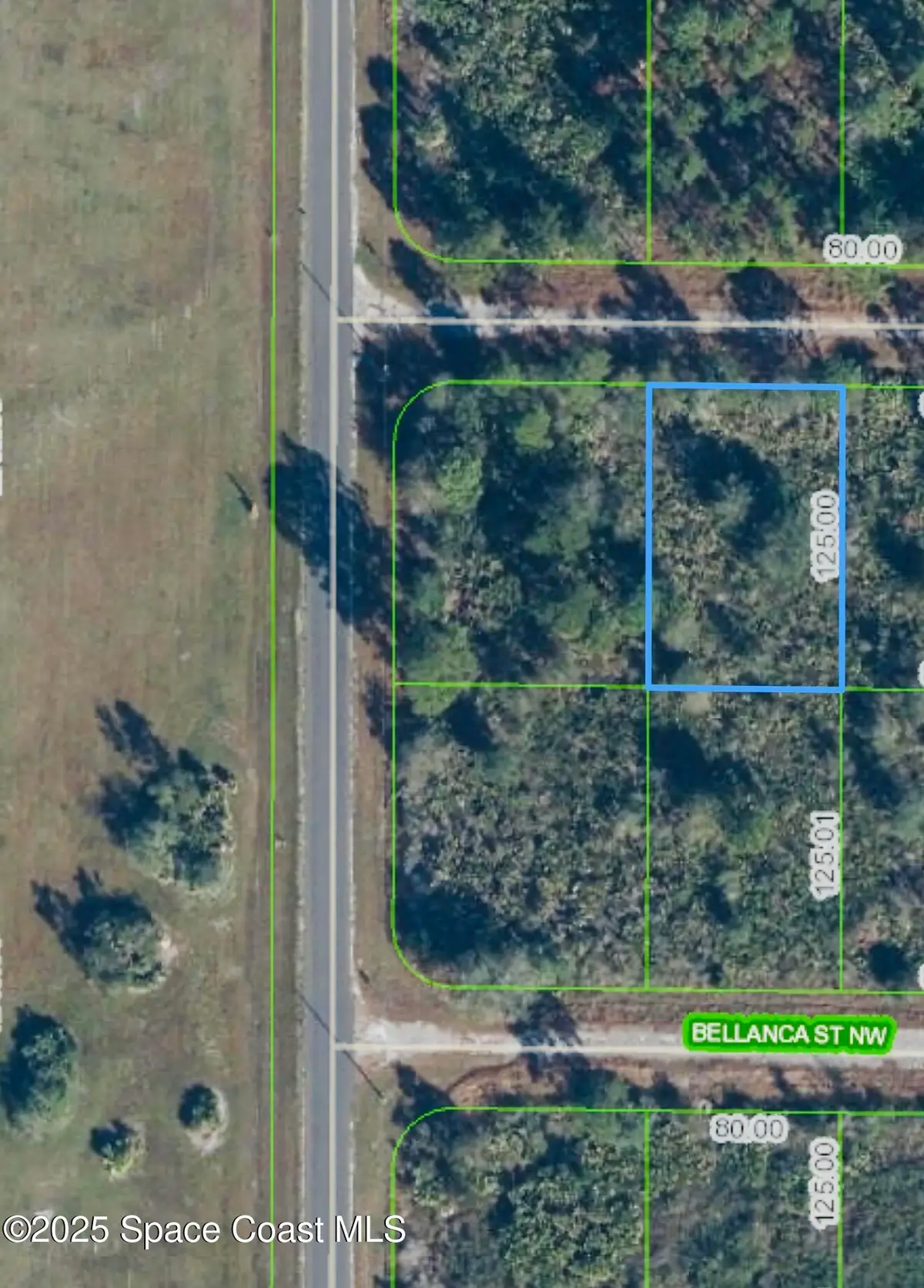 762 American Street Nw, Lake Placid, FL 33852 - Image #1