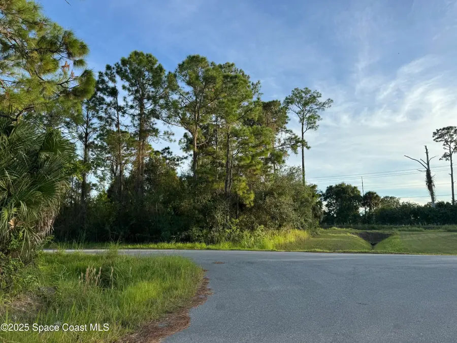 666 Henlock Street Se, Palm Bay, FL 32909 - Image #3