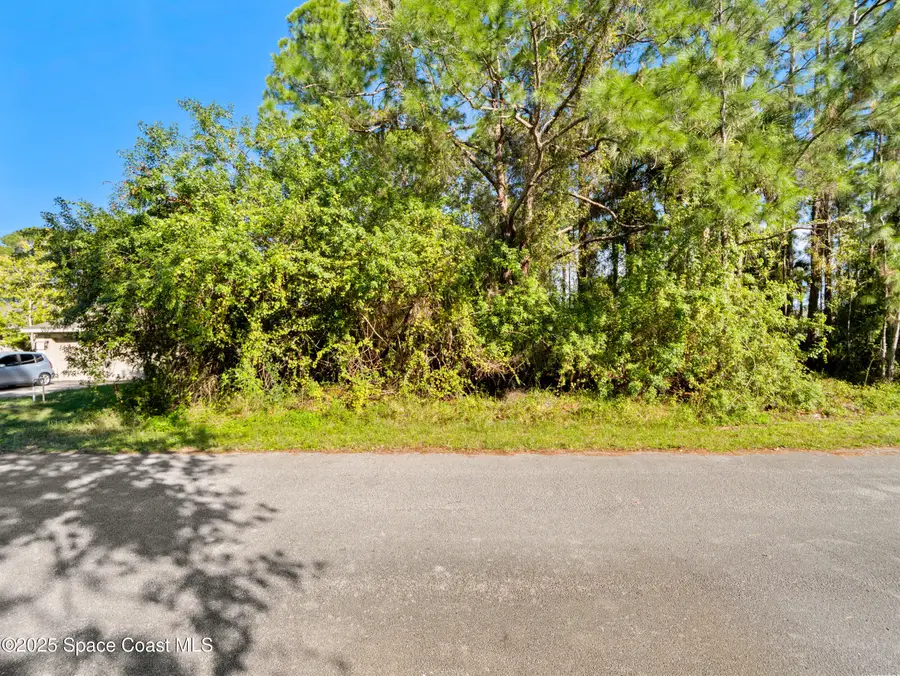 541 Darien Avenue Sw, Palm Bay, FL 32908 - Image #2