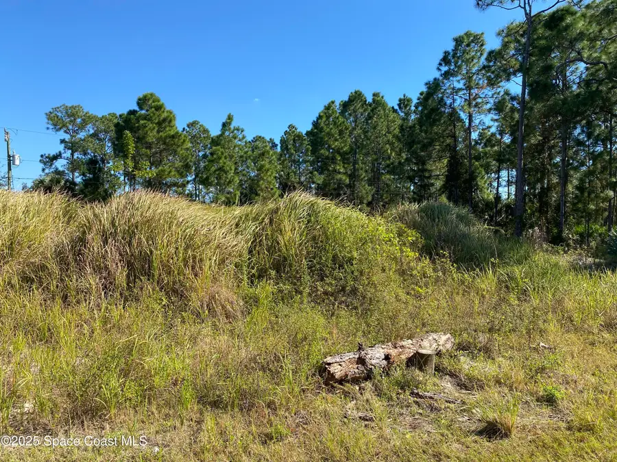 2739 Haberland Avenue Se, Palm Bay, FL 32909 - Image #2