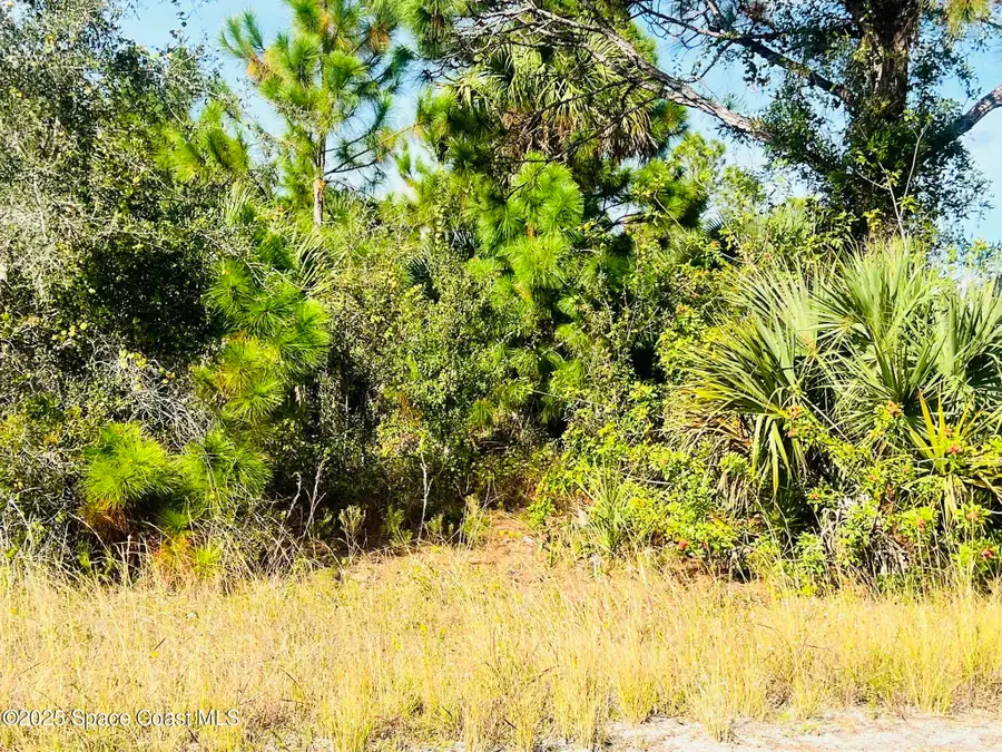 0000 Anjar Avenue, Palm Bay, FL 32908 - Image #3