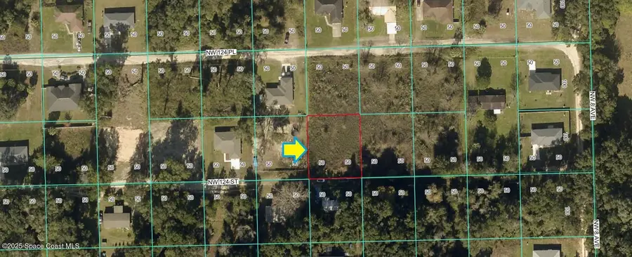 0000 NW 124th Street, Citra, FL 32113 - Image #3