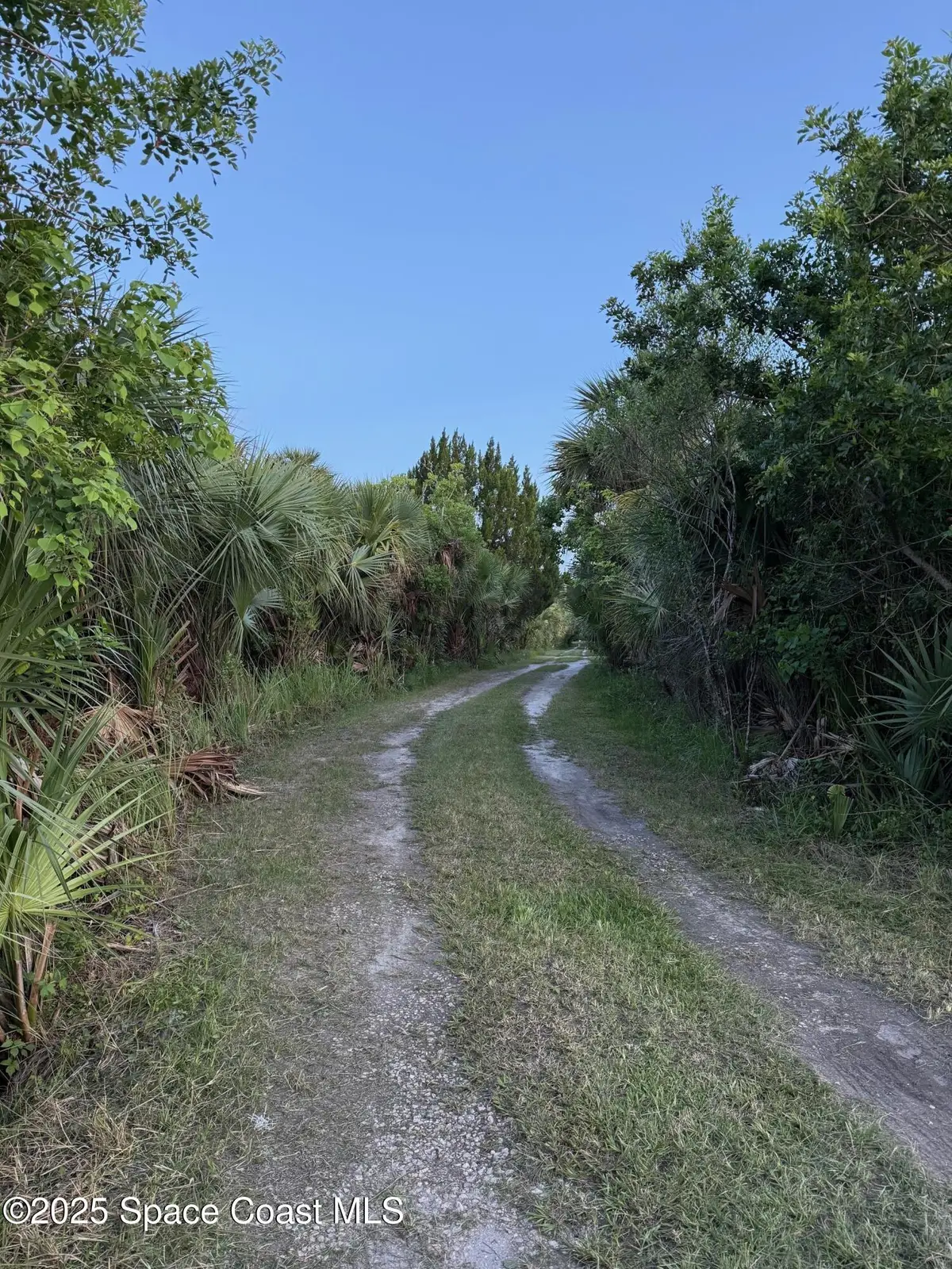 6750 Highway 46, Mims, FL 32754 - Image #1