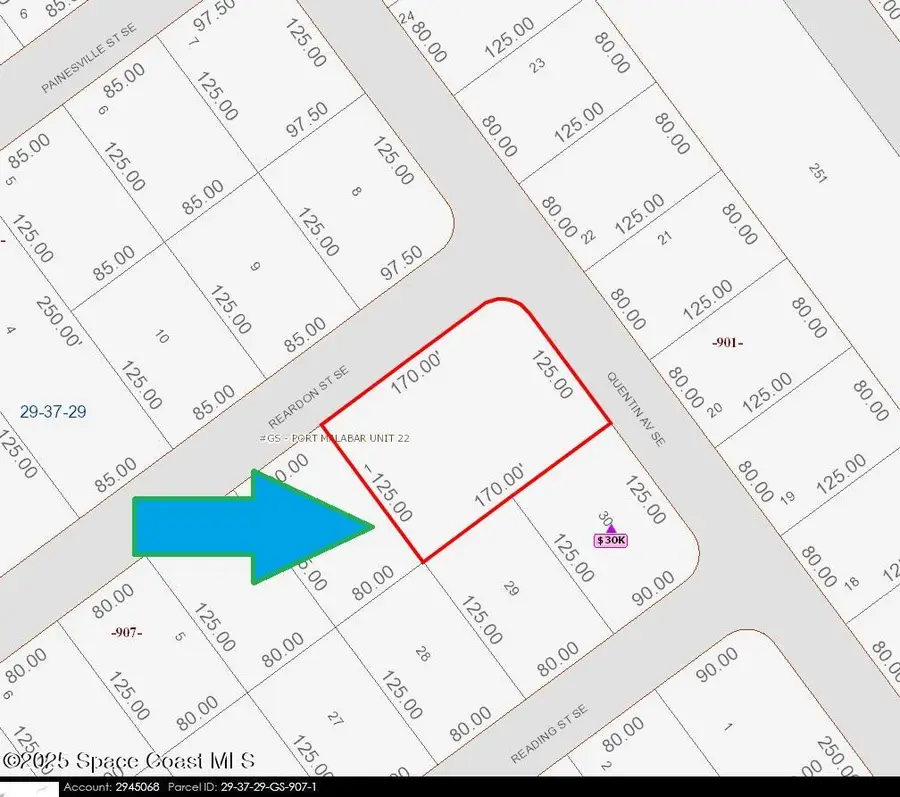 890 Double Lot On Reardon Street Se, Palm Bay, FL 32909 - Image #3