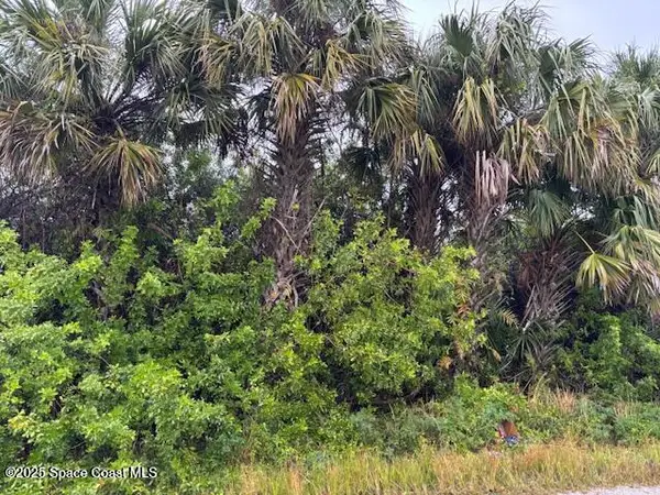 1341 Laredo Street Sw, Palm Bay, FL 32908