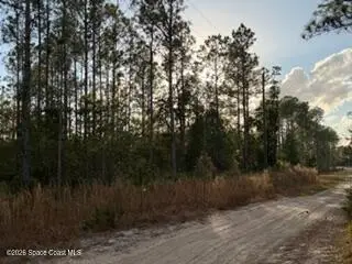 880 Still Road, Pierson, FL 32180 - #3