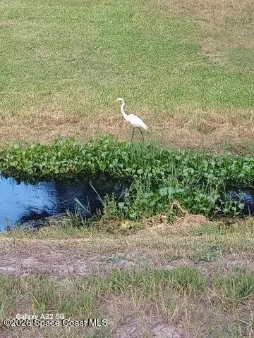 2631 Ivory Way, Titusville, FL 32780 - #3