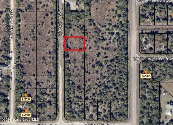 3159 Papaya Avenue Sw, Palm Bay, FL 32908