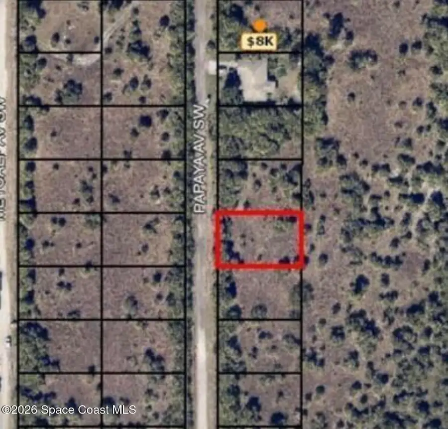 3159 Papaya Avenue Sw, Palm Bay, FL 32908 - Image #2