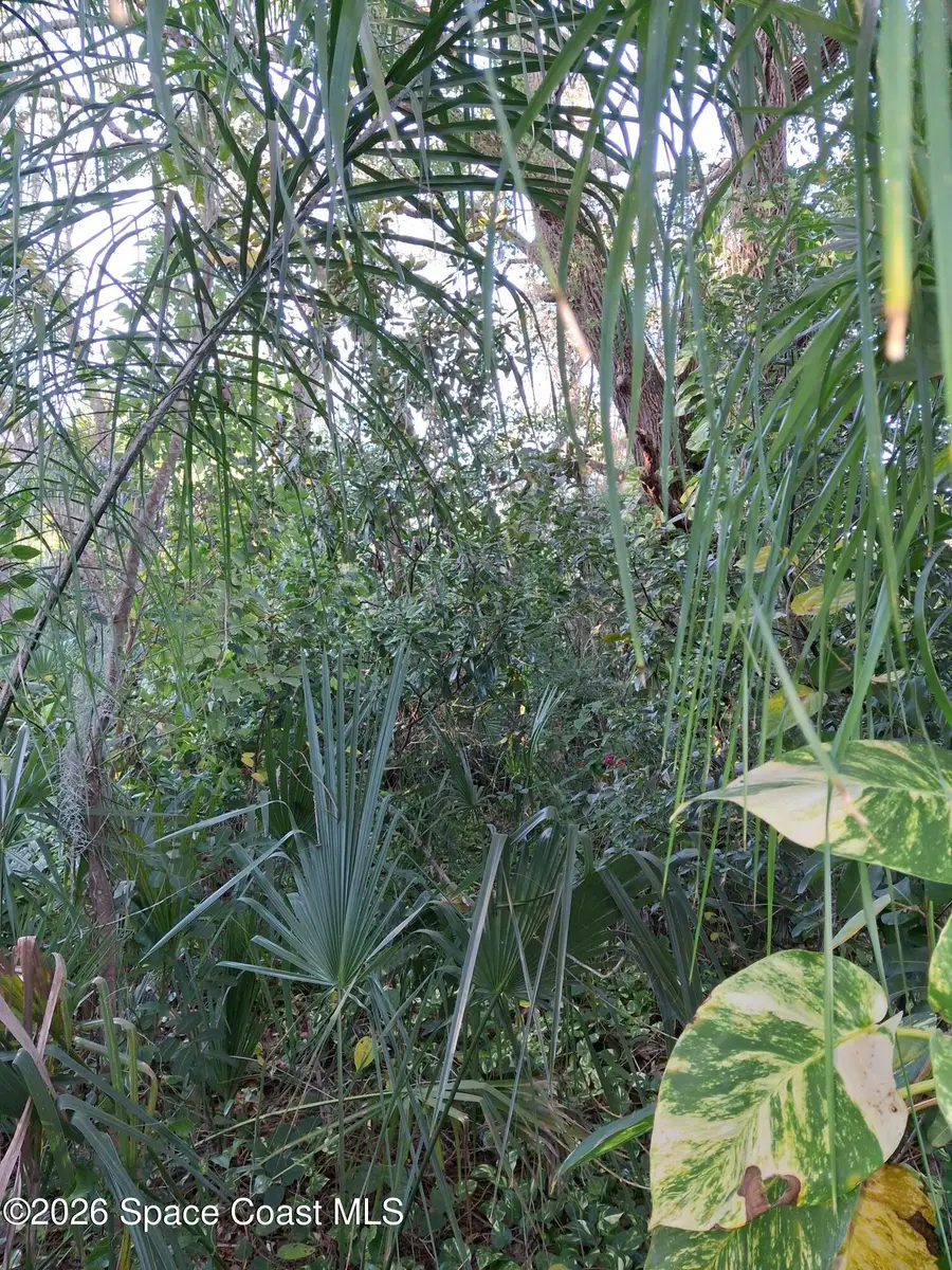 4824 Curtis Boulevard, Cocoa, FL 32927 - #3