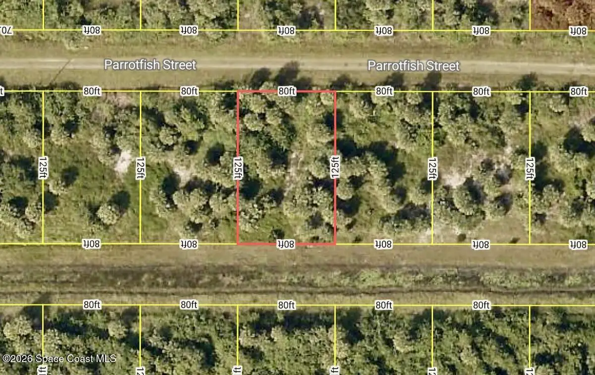 756 Parrotfish Street Sw, Palm Bay, FL 32908 - #1