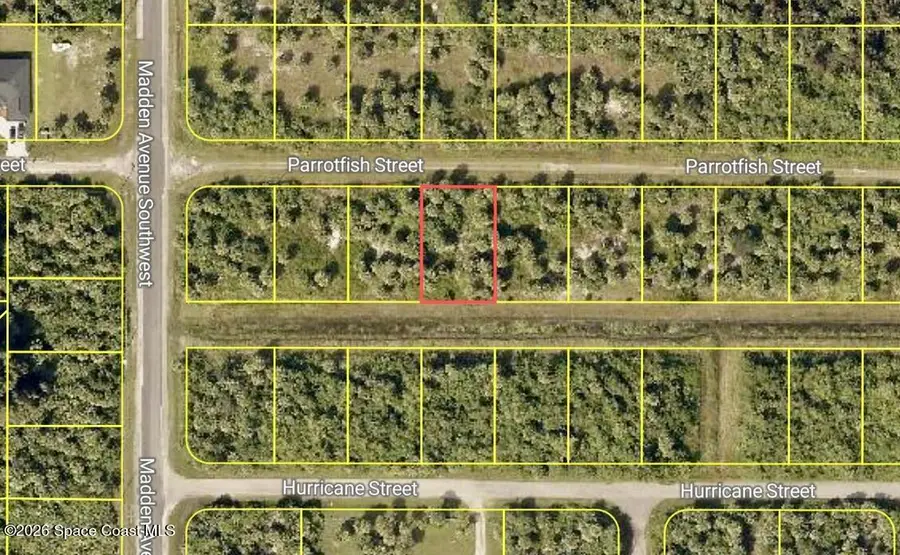 756 Parrotfish Street Sw, Palm Bay, FL 32908 - #3