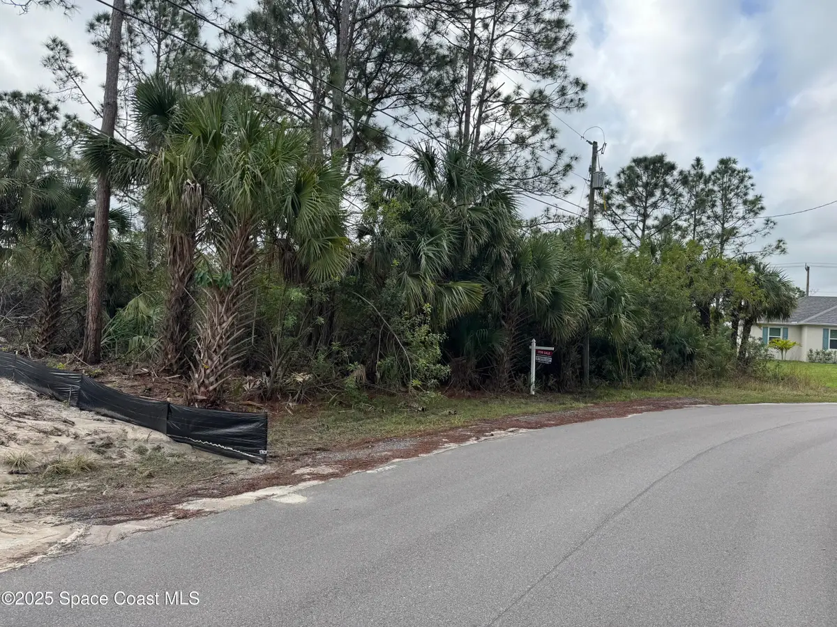 3395 SW Fitzpatrick Avenue Sw, Palm Bay, FL 32908 - #1