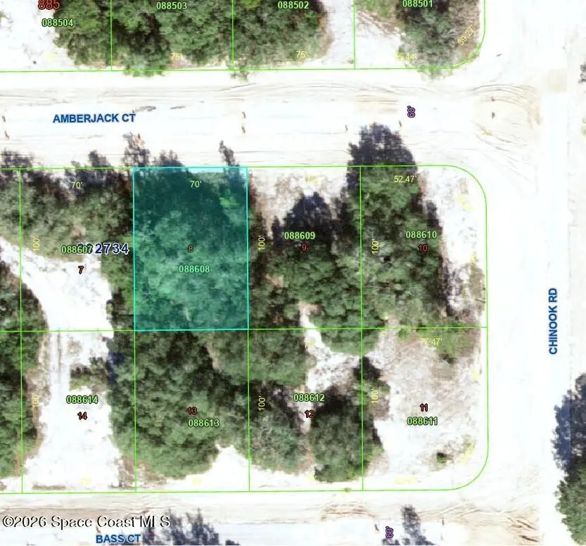 377 Amberjack Court, Poinciana, FL 34759 - Image #1