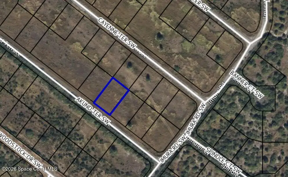 935 Akund Terrace Sw, Palm Bay, FL 32908 - Image #1