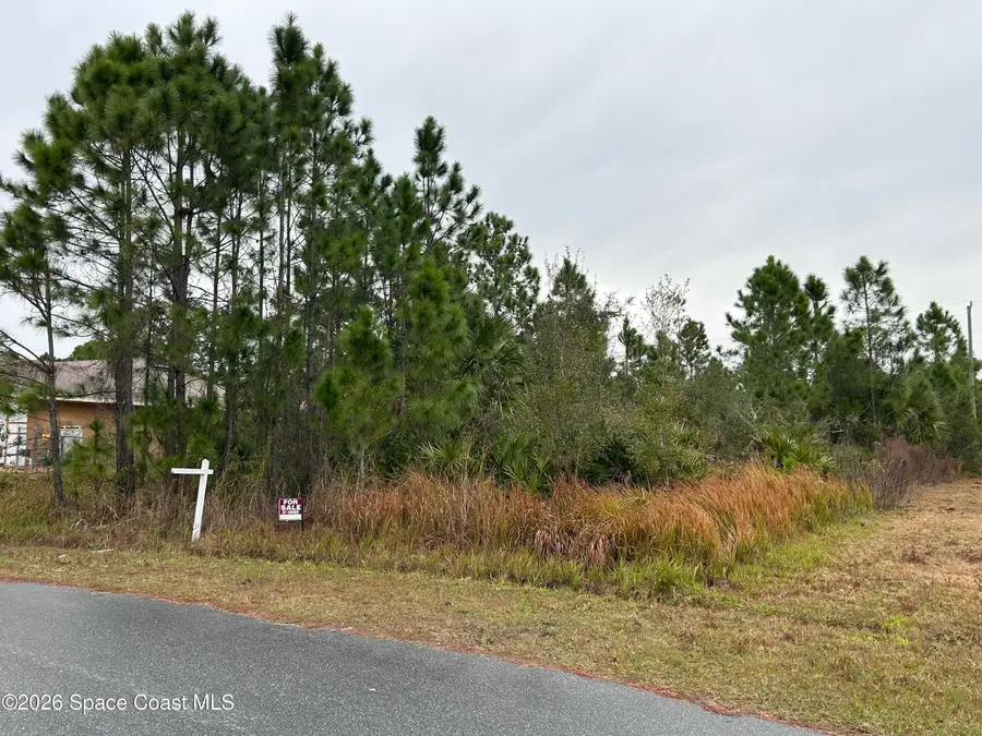 2991 Tinley Road Se, Palm Bay, FL 32909 - Image #2