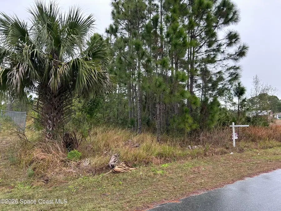 2991 Tinley Road Se, Palm Bay, FL 32909 - Image #3