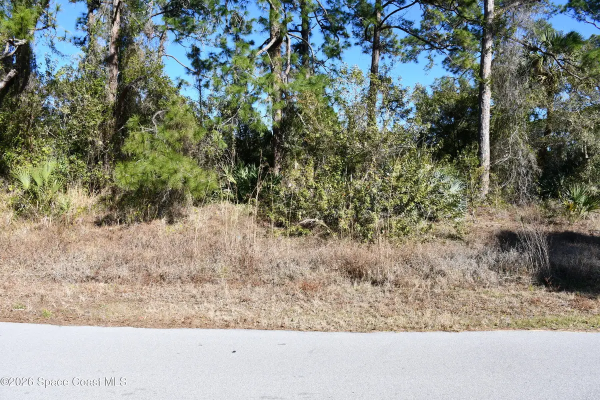 139 White Road Sw, Palm Bay, FL 32908 - Image #1