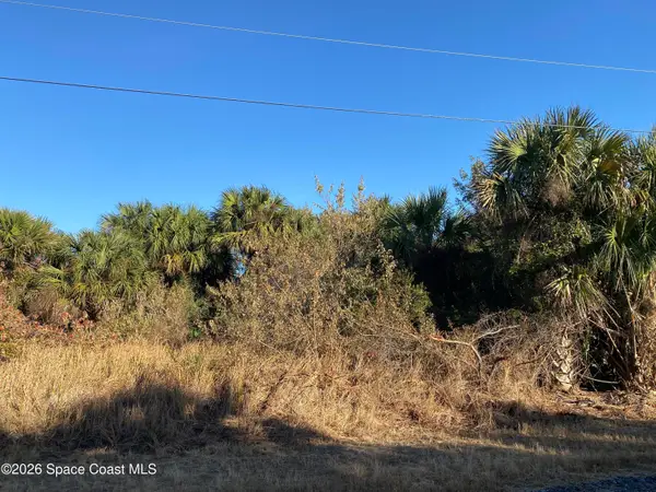 2189 Begonia Avenue Sw, Palm Bay, FL 32908