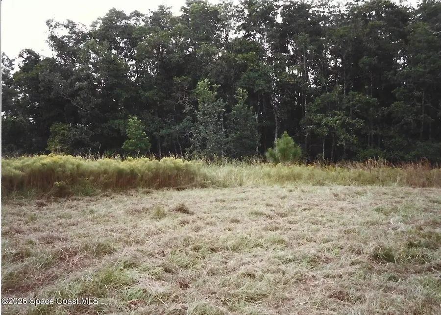 184 Guitar Drive, Sebring, FL 33870 - #3