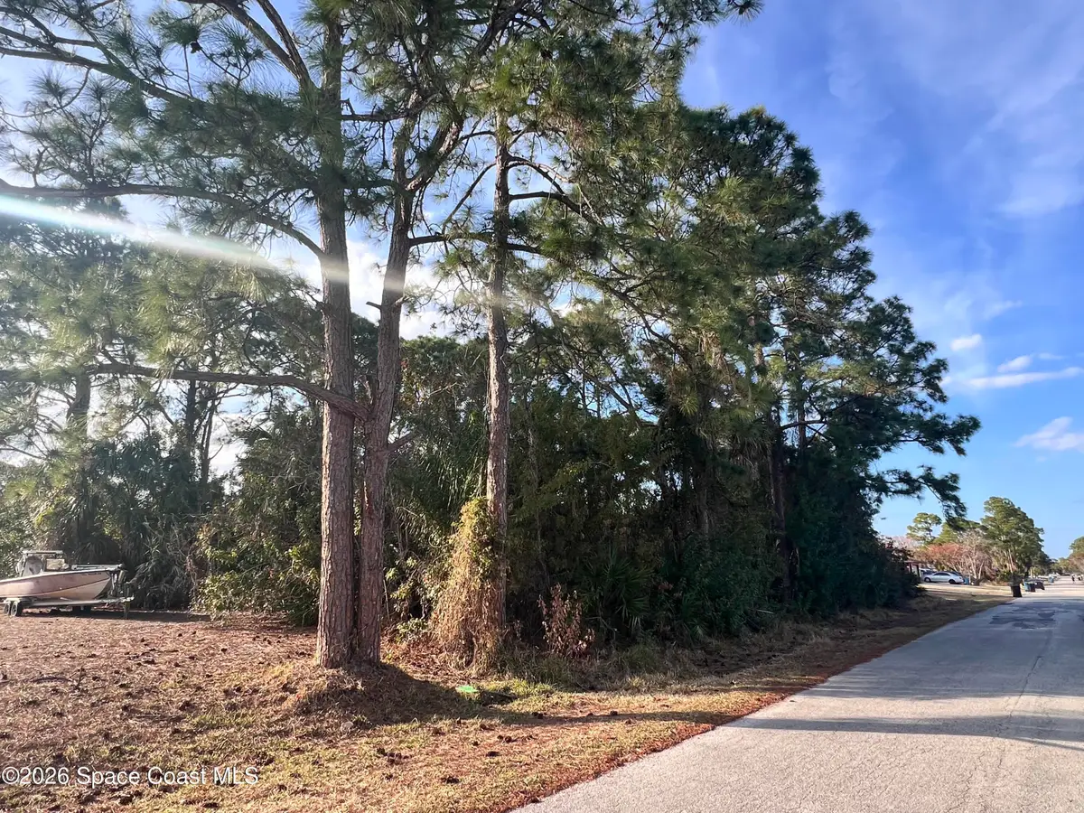 230 Aquarius Avenue Se, Palm Bay, FL 32909 - #1