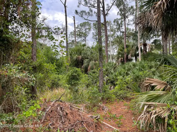 662 Sanford Street Sw, Palm Bay, FL 32908