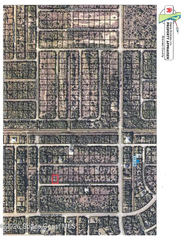 3182 Papaya Avenue Sw, Palm Bay, FL 32908