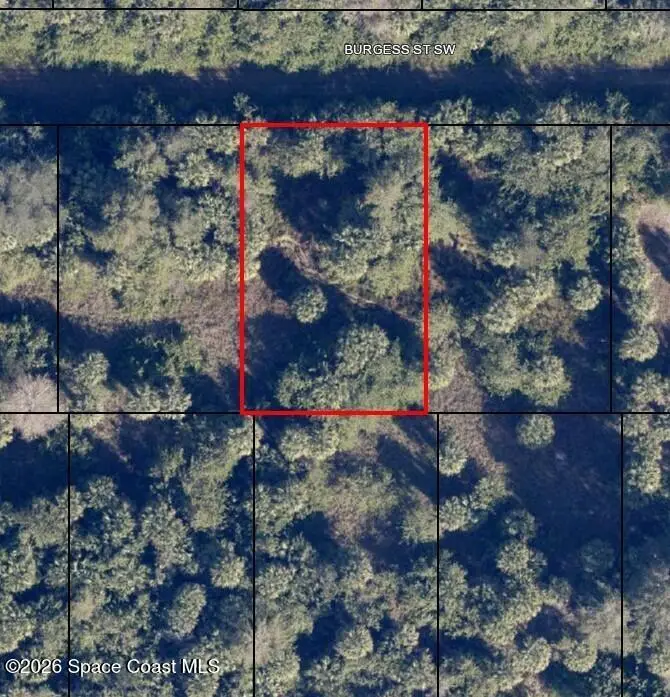 742 Burgess Street Sw, Palm Bay, FL 32908 - #1