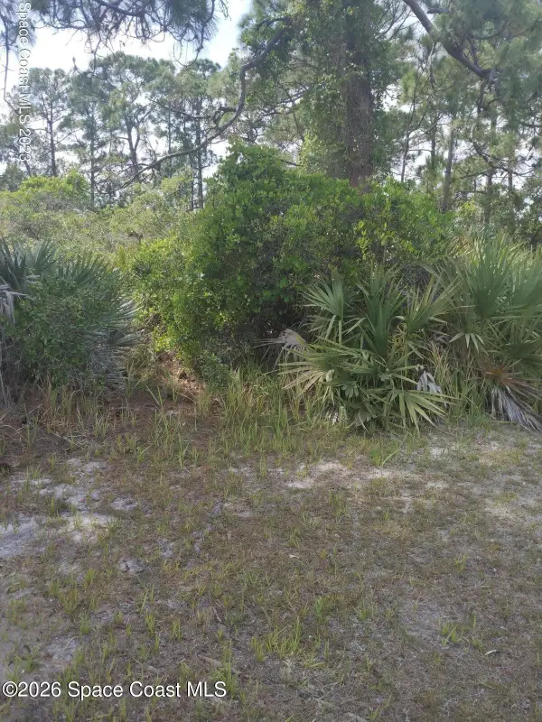 Unknown Vacant Land Canveral Grove, Cocoa, FL 32926