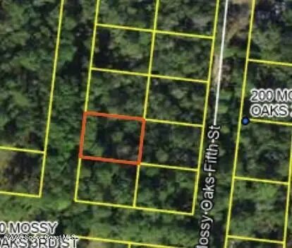 200 Mossy Oaks Fourth Street, Other, FL 99999 - #1