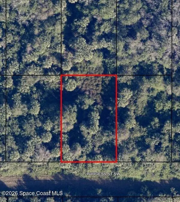 759 Burgess Street Sw, Palm Bay, FL 32908 - #3