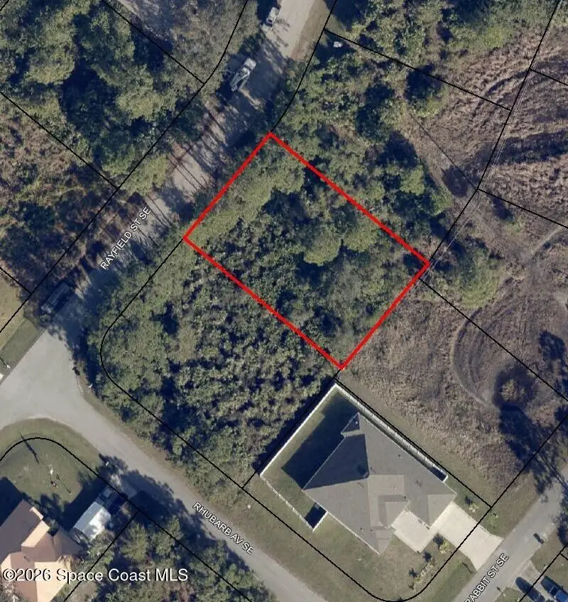 1260 Rayfield Street Se, Palm Bay, FL 32909 - #1