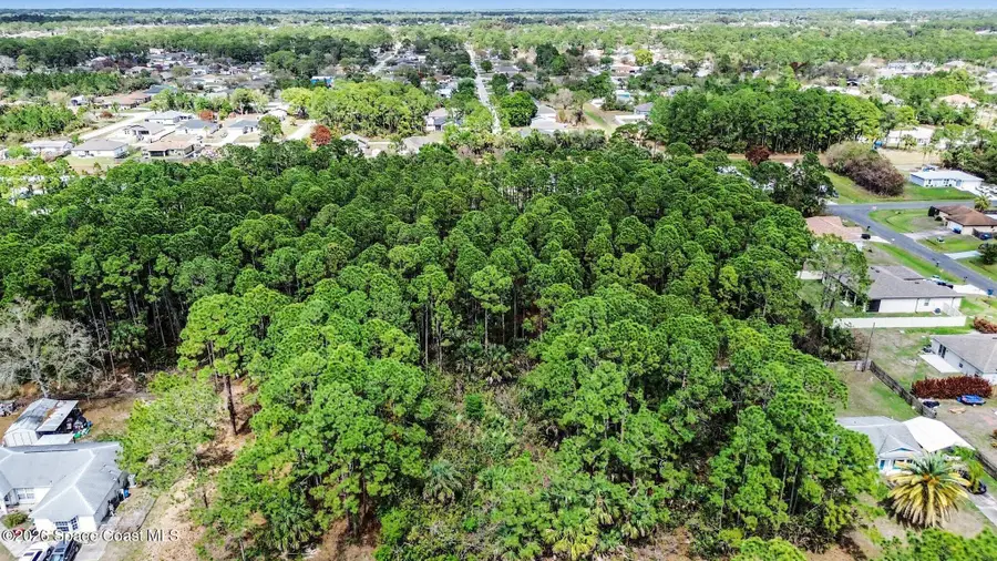 341 Danis Road Sw, Palm Bay, FL 32908 - #2