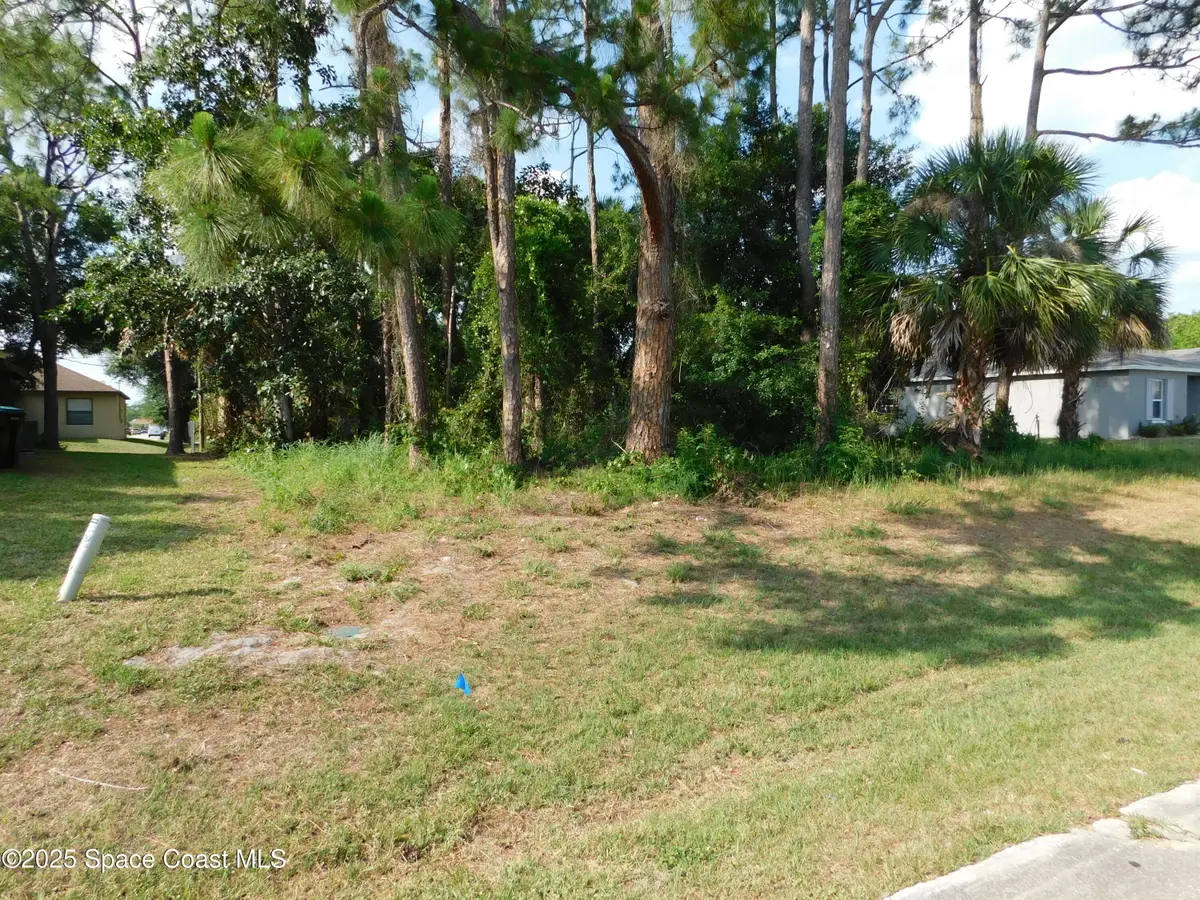 1055 Pace Drive Nw, Palm Bay, FL 32907 - #1