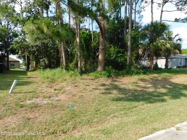 1055 Pace Drive Nw, Palm Bay, FL 32907
